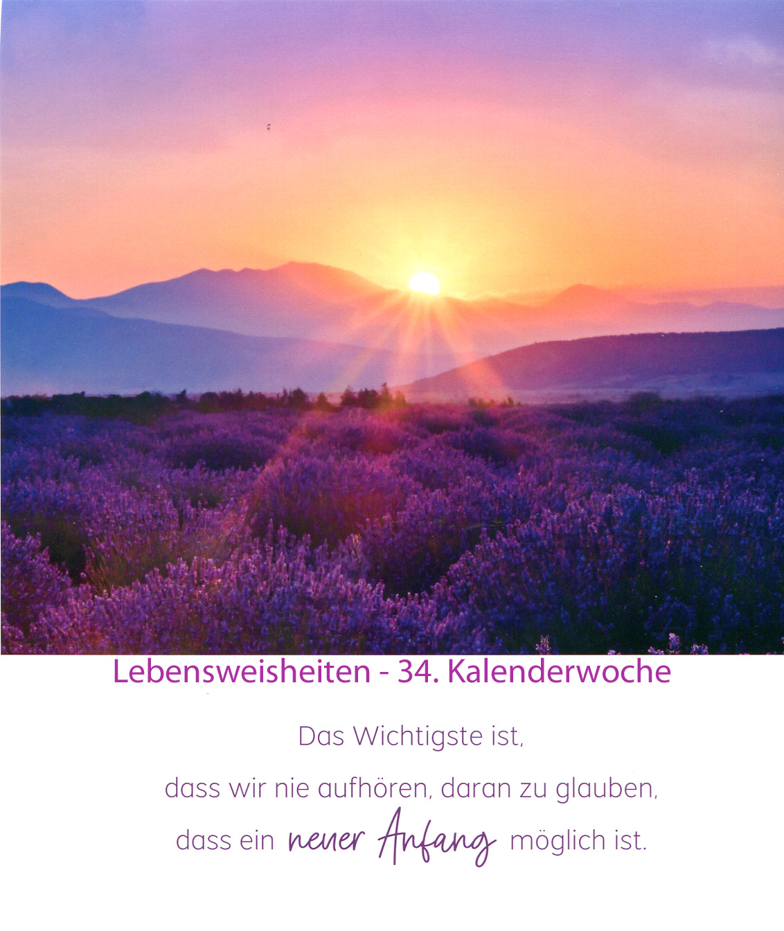 Lebensweisheiten - 34. Kalenderwoche - kirche-hemmingstedts Webseite!