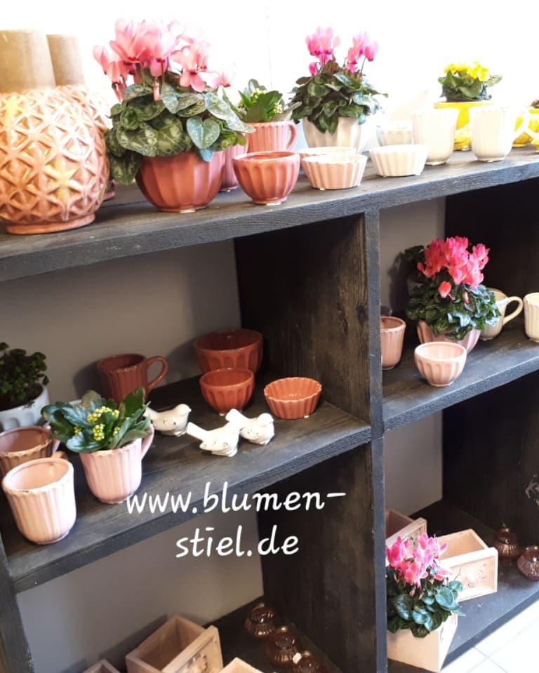 Blumenladen Wimsheim Blumenstiel Florist Fleurop Onlineshop Floristdesjahres Sina Bertsch Enzkreis Blumenkaufen