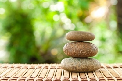 pebbles in garden online therapy