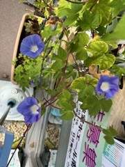 MOS資格を取りましょう😄