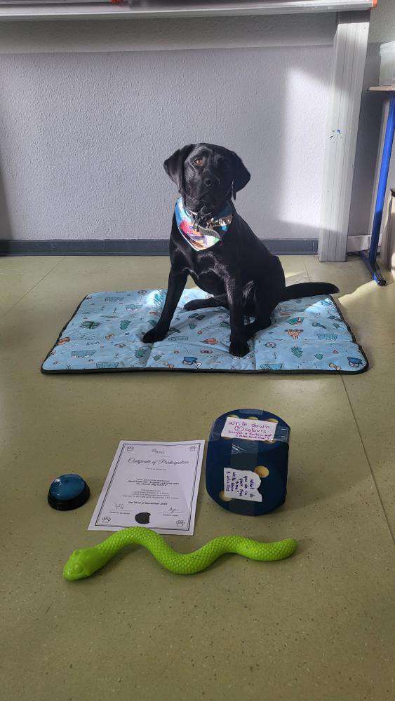 Tag der offenen Tür - mit Herz und Hund(en)