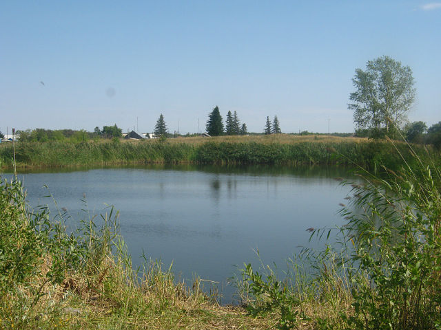 Der Baggersee in Dobroje Pole /Schönfeld - ziemlich zugewachsen. Zu meiner Zeit gab es mehrere Badestellen.