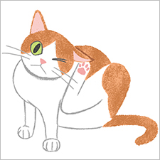 『ねこのきもち』イラスト　猫　cat