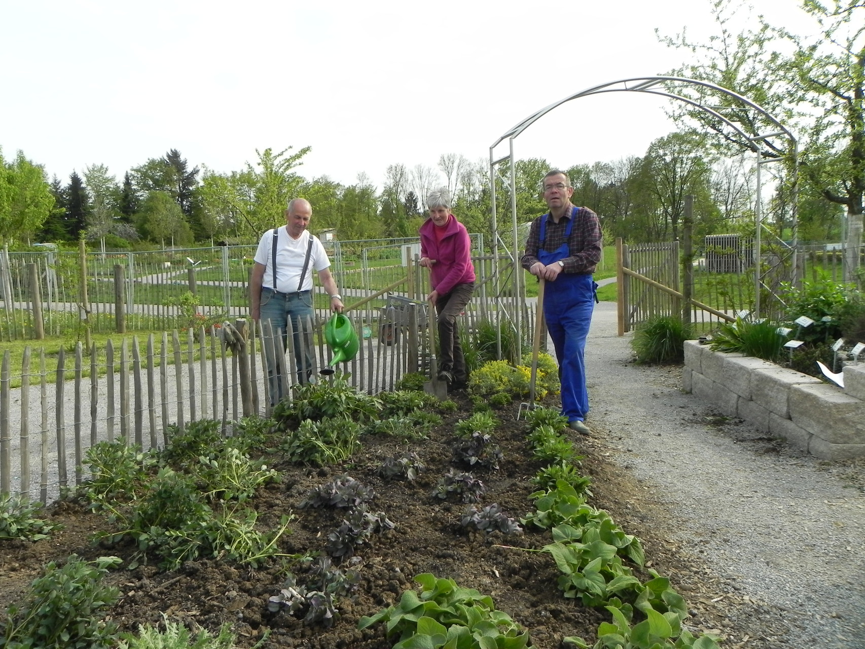 Der Garten wird für den Gmünder Sommer 2015 wieder auf Vordermann gebracht