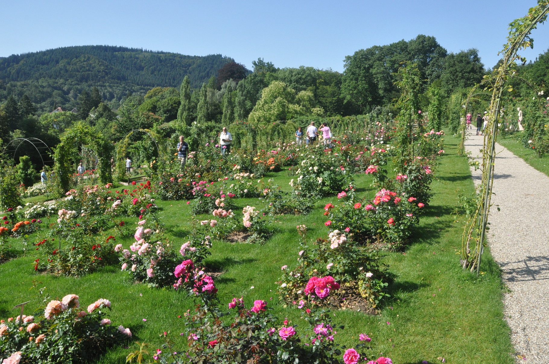Rosenneuheitengarten in Baden-Baden