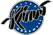 Altes Kino Rankweil