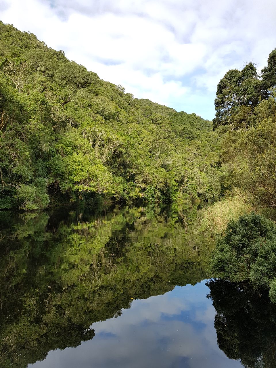 Südafrika 3 Oudtshoorn über die Garden Route bis Summerstrand on the