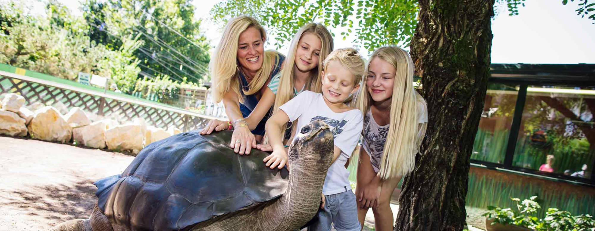 Reptilienzoo Happ in Klagenfurt – Österreichs artenreichster