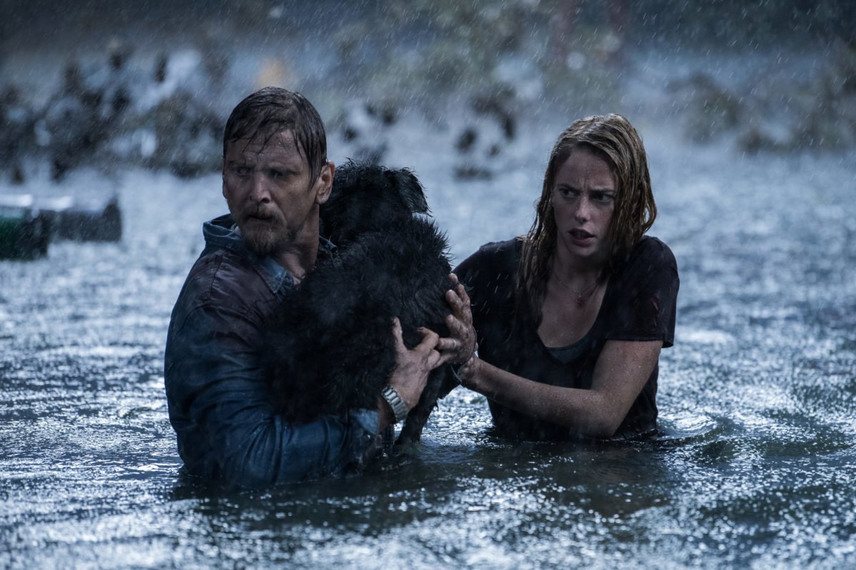 Crawl (2019)  