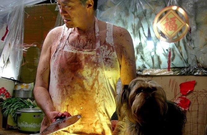 Live Feed (2006)