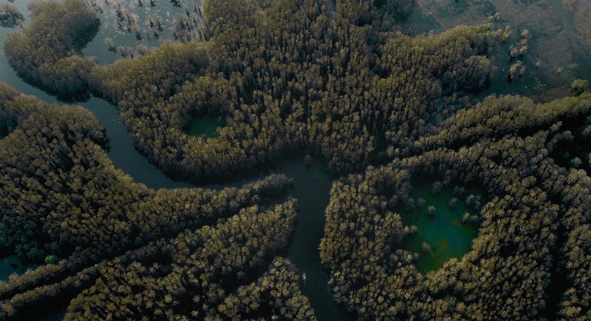 Caddo Lake (2024) 