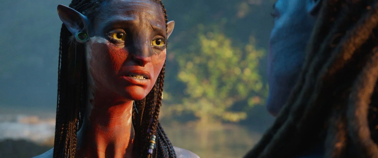 Avatar : De Feu et de Cendres (2025)