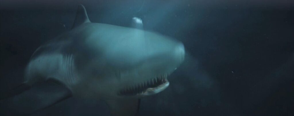 Swim (2021)