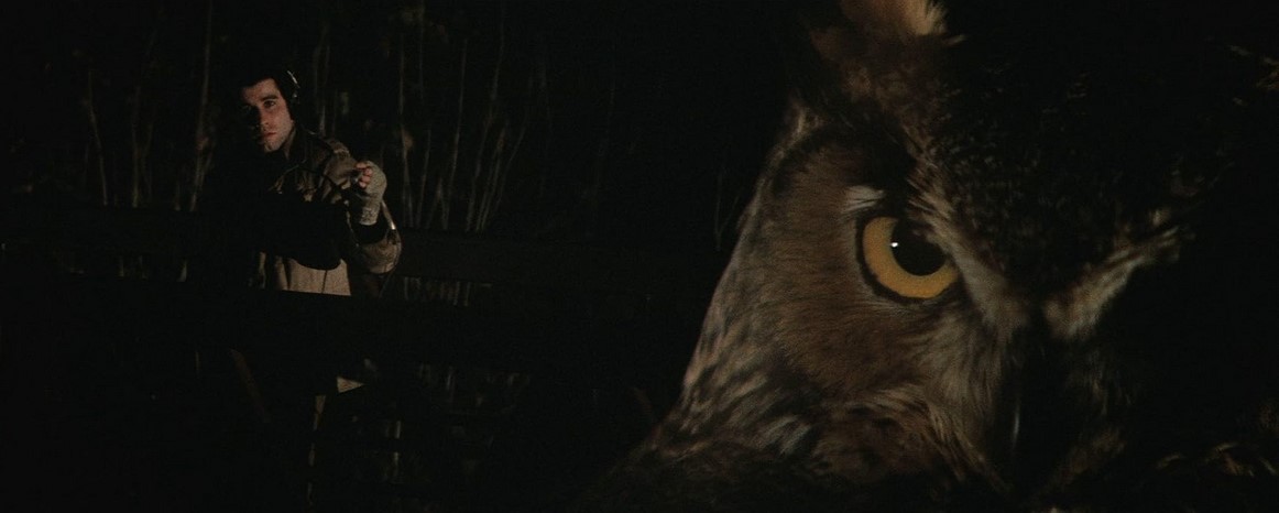 Blow Out (1981)