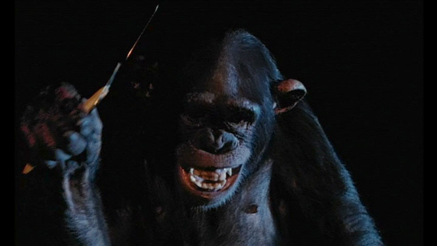 Phenomena (1985) 