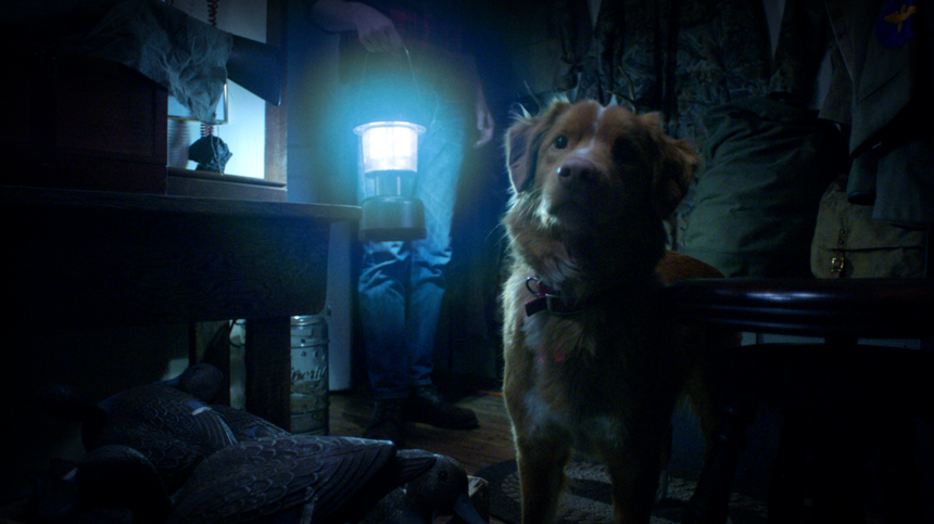Good Boy (2025)