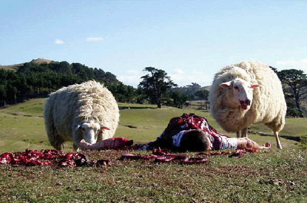 Black Sheep de Jonathan King - 2007
