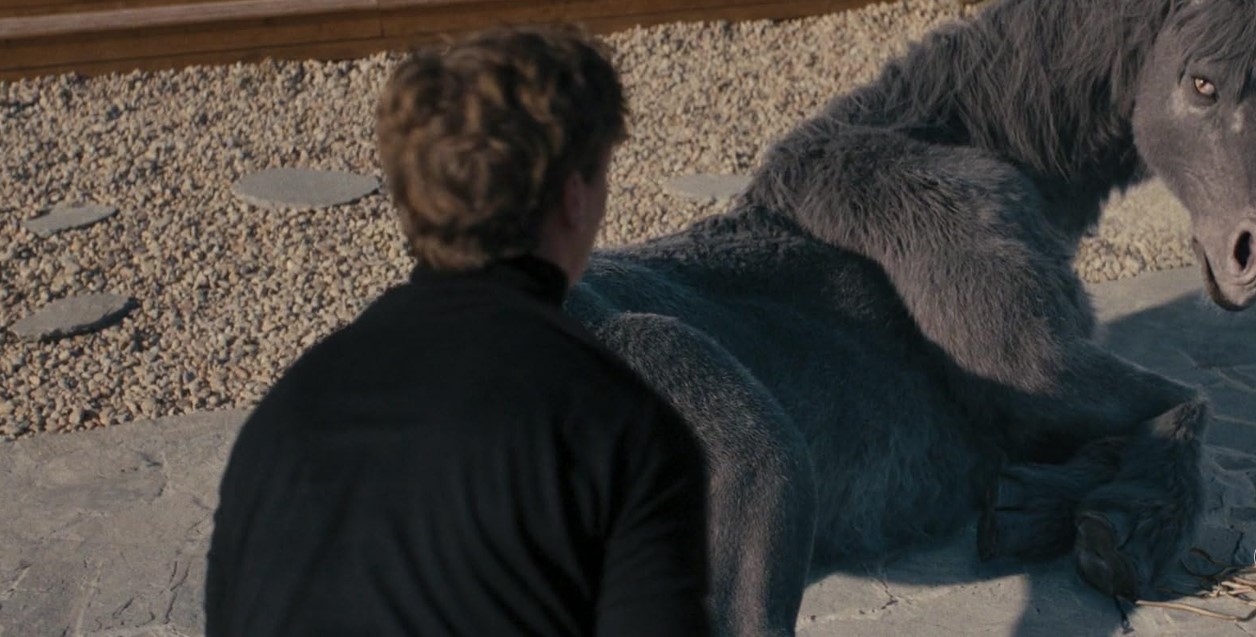 Death Of A Unicorn (2025 /de Alex Scharfman) 