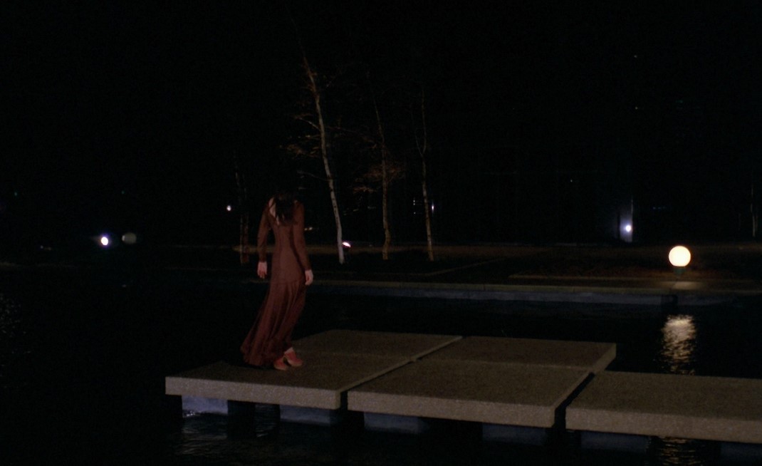 La Nuit Des Traquées (1980) 