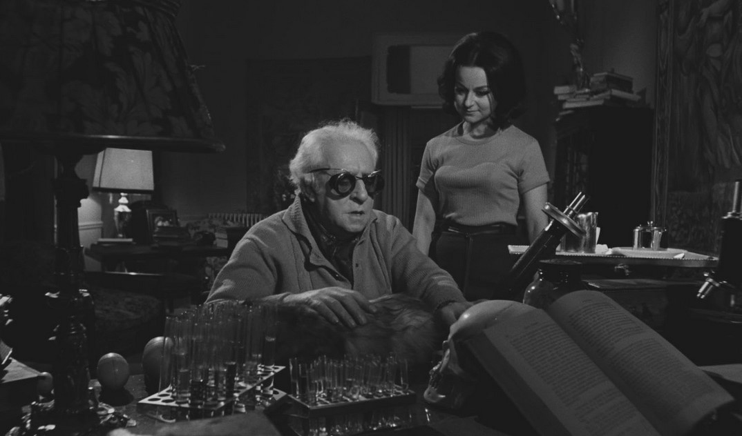 Le Diabolique Docteur Z (1966)