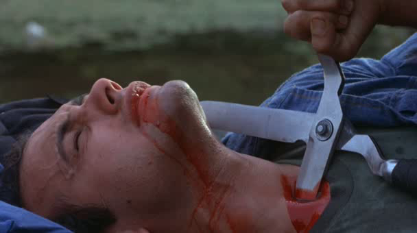 Carnage - The Burning de Tony Maylam - 1981