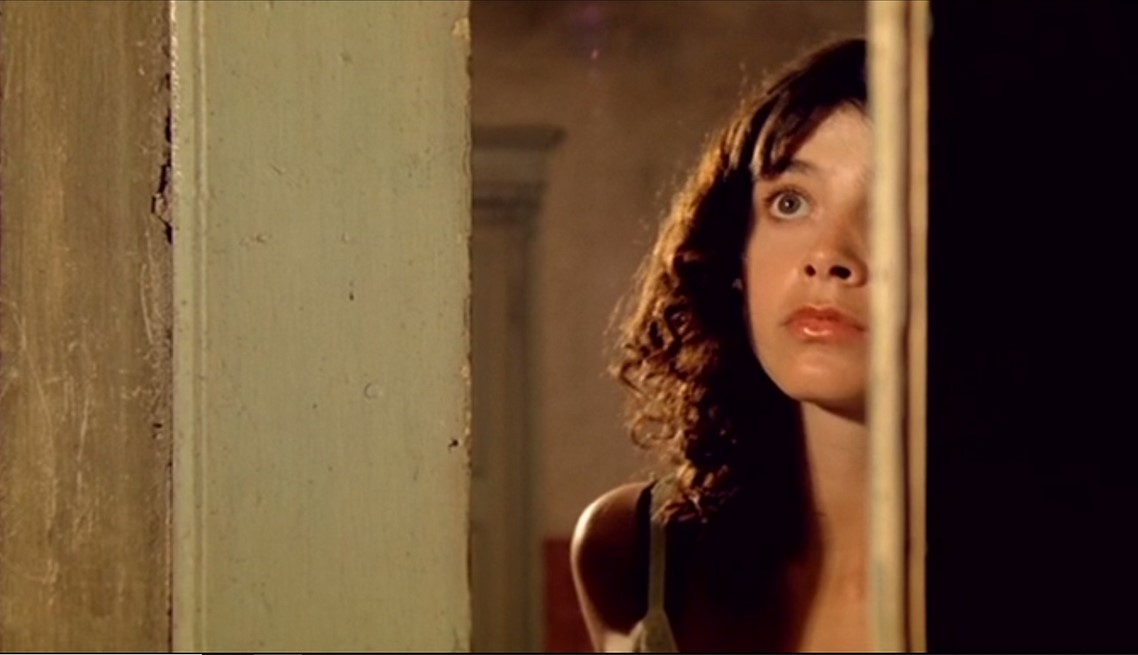 La Maison Aux Fenêtres Qui Rient (1976) 
