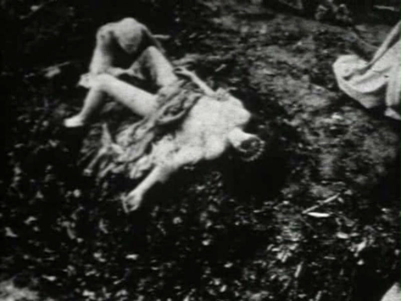 Begotten de E. Elias Merhige - 1991