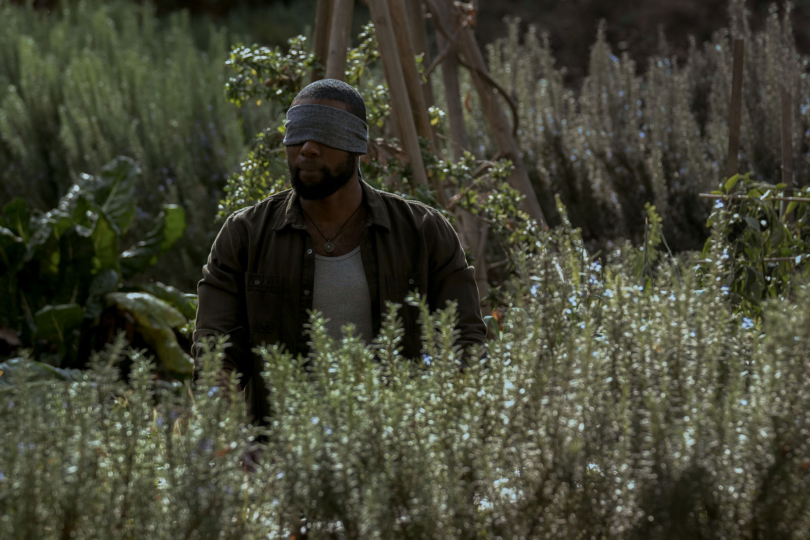 Bird Box (2018)