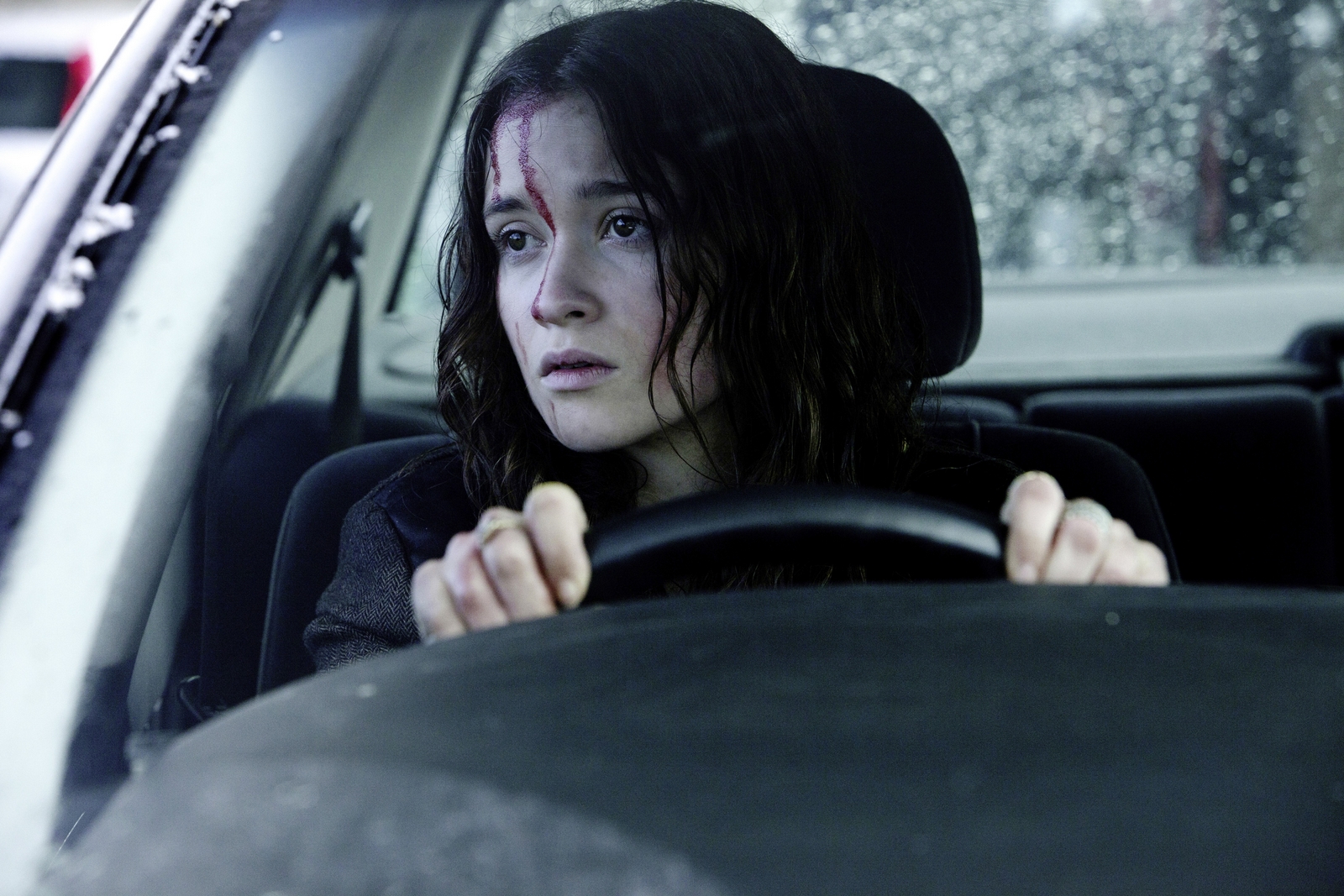 In Fear (2013)