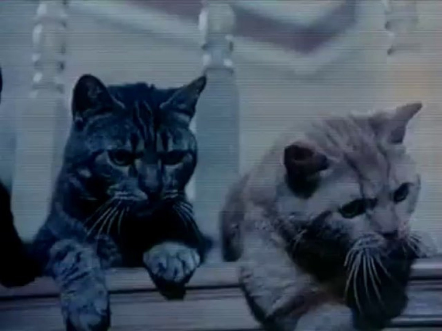 Cat's - Les Tueurs d'Hommes (1991)