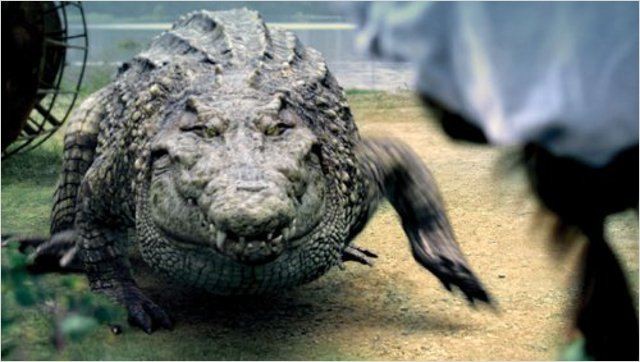 Million Dollar Crocodile (2012)  