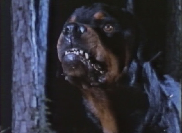 Rottweiler - Mission Tuer (1983)