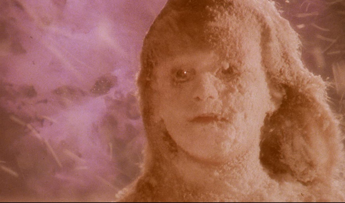 The Visitor (1979) 