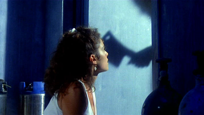 Cheerleader Camp de John Quinn - 1988 / Horreur-Slasher