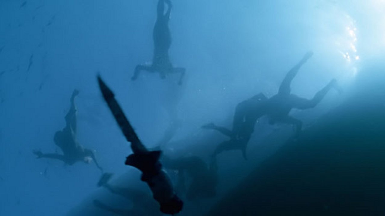 Open Water 2 - Dérive Mortelle (2006)