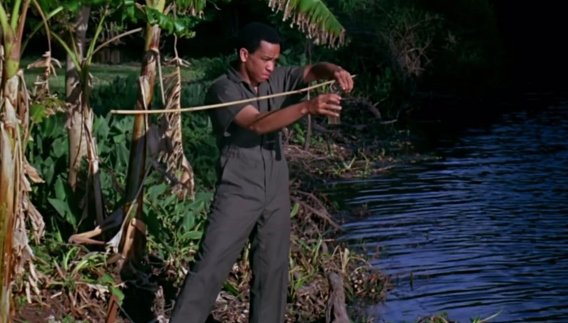 Zaat (1971) 