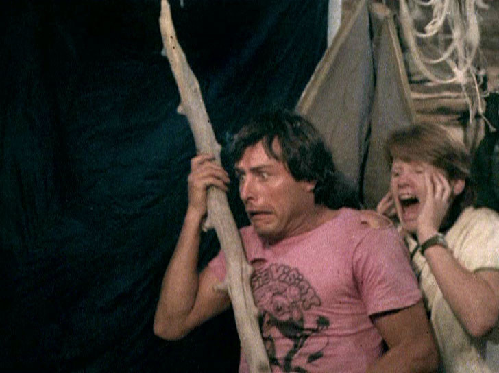 Don't Go In The Woods de James Bryan - 1981 / Survival - Slasher