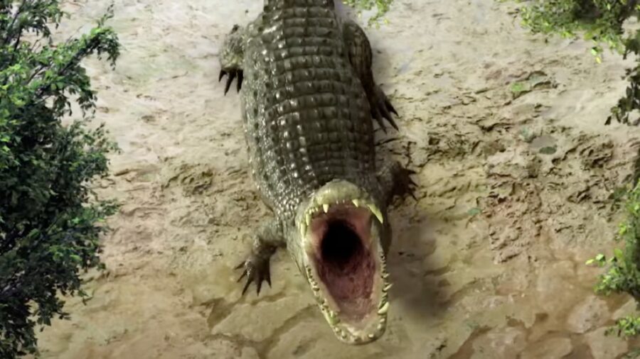 Methgator (2023)