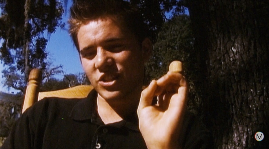 The St. Francisville Experiment (2000)