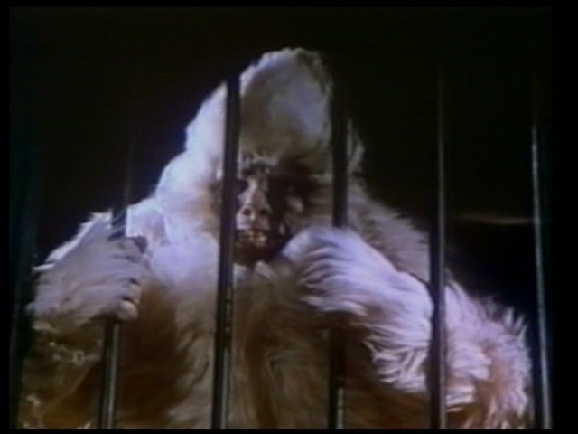Bigfoot Terror de Bill Rebane - 1980