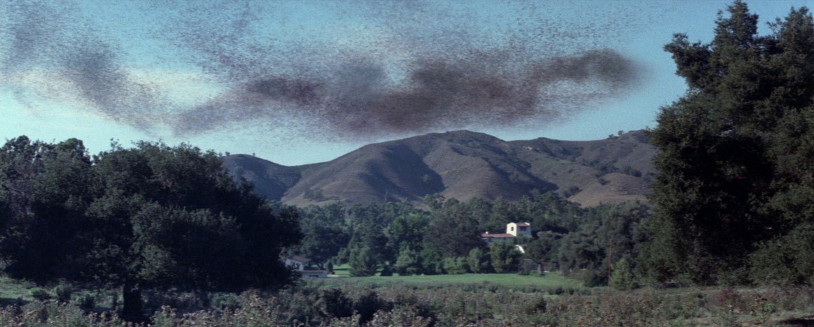 L'Inévitable Catastrophe (1978) 