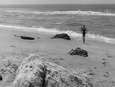 The Beach Girls And The Monster (1965)