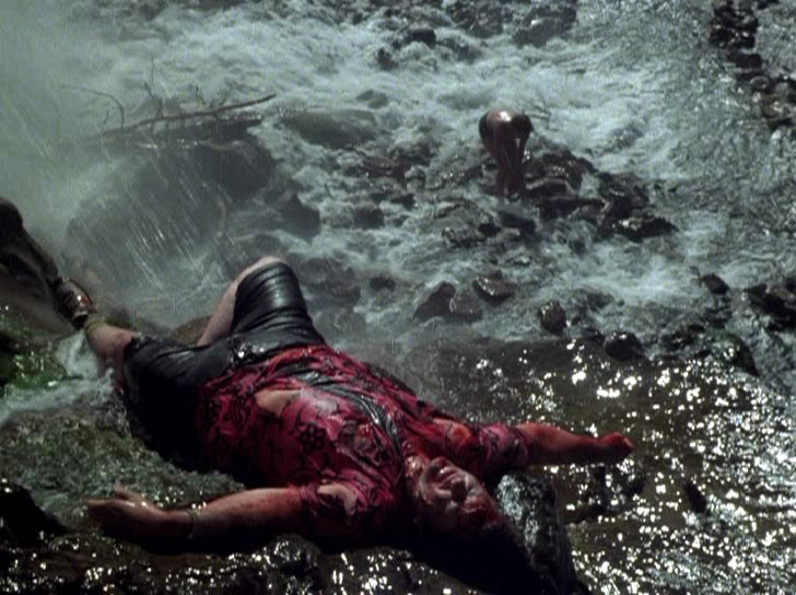 Don't Go In The Woods de James Bryan - 1981 / Survival - Slasher