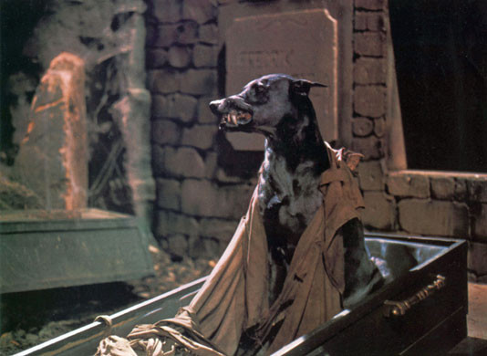  Zoltan - Le Chien Sanglant De Dracula