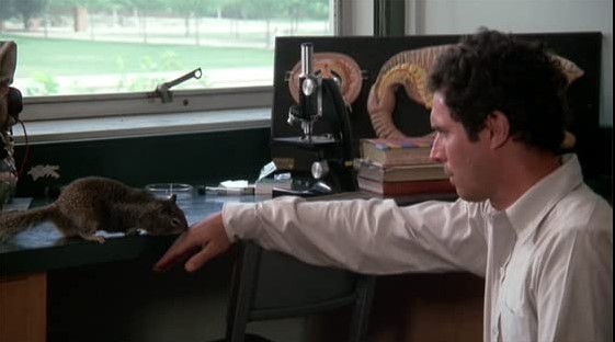 Les Insectes De Feu (1975)