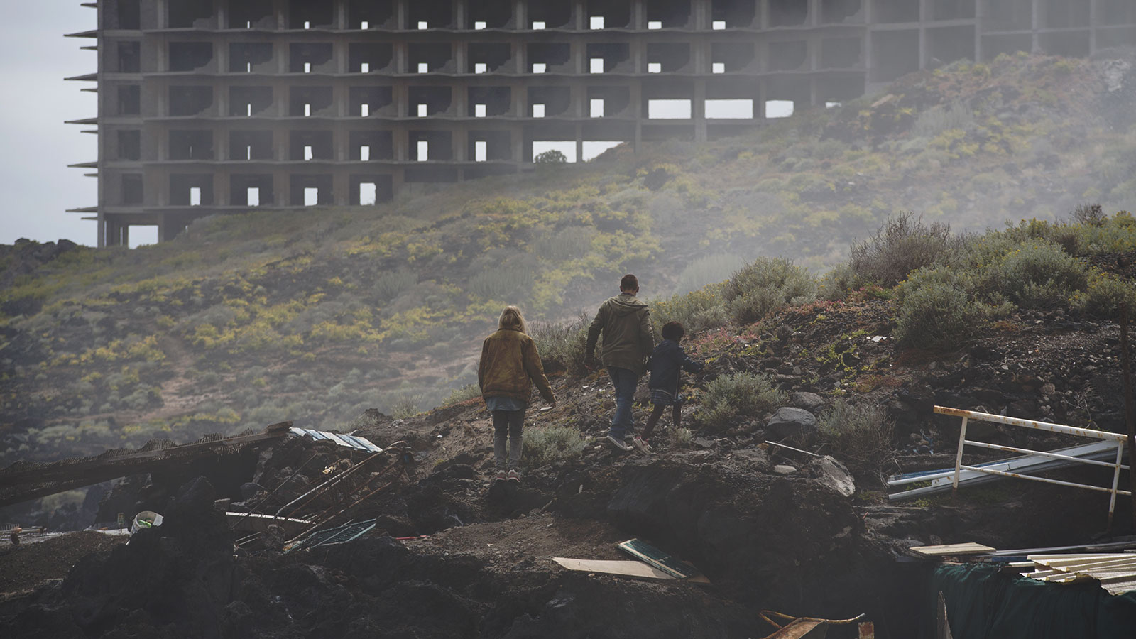 Alone de Thierry Poiraud - 2015 / Horreur - Survival  