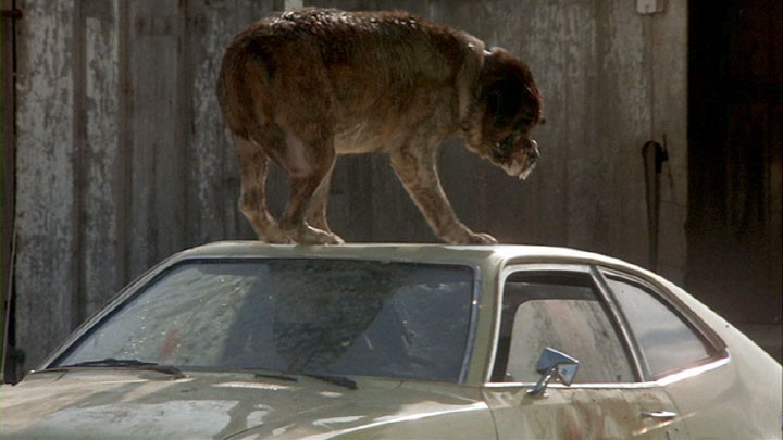 Cujo de Lewis Teague - 1983 / Fantastique - Horreur