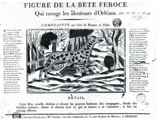 La Bête d'Orléans - Mythes & Légendes Urbaines
