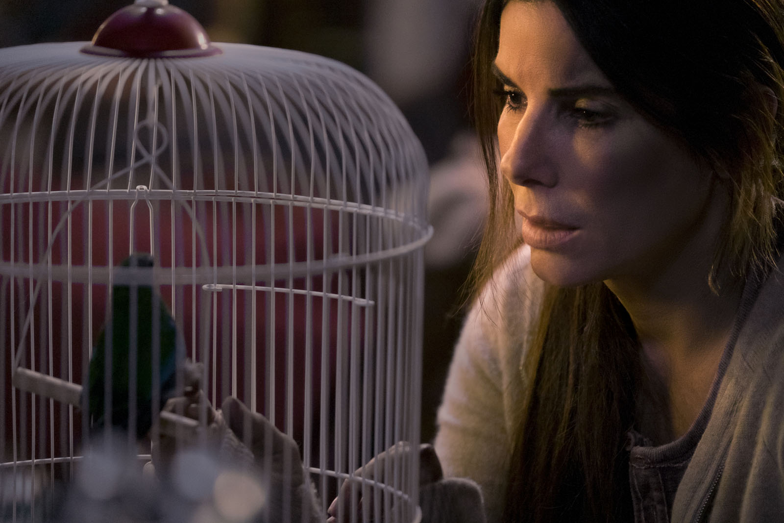 Bird Box (2018)