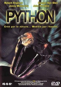 Python